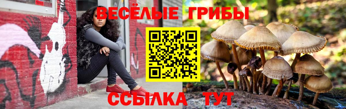 Псилоцибиновые грибы мухоморы Прокопьевск